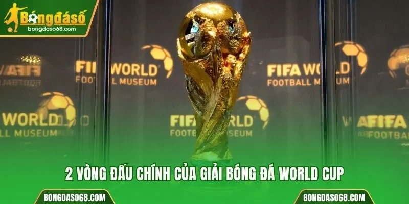 2 vòng đấu chính của giải bóng đá World Cup