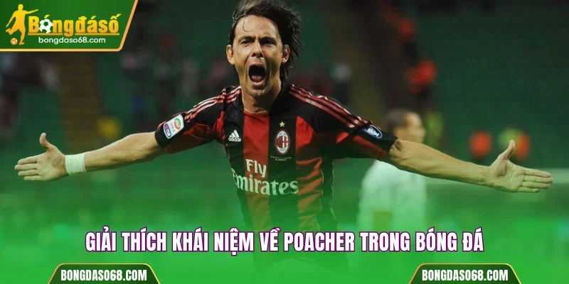 Giải thích khái niệm Poacher trong bóng đá là gì