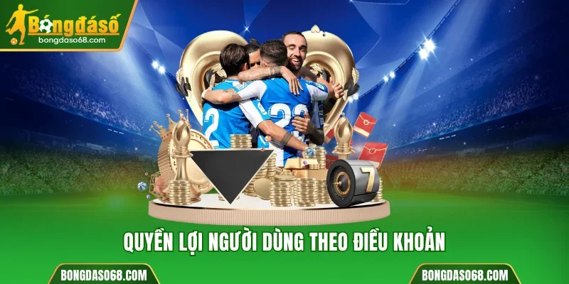 Quyền lợi người chơi nhận được theo điều khoản của Bongdaso 