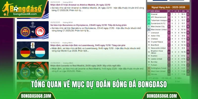 Tổng quan về mục dự đoán bóng đá Bongdaso