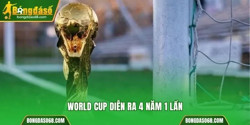 World Cup diễn ra 4 năm 1 lần