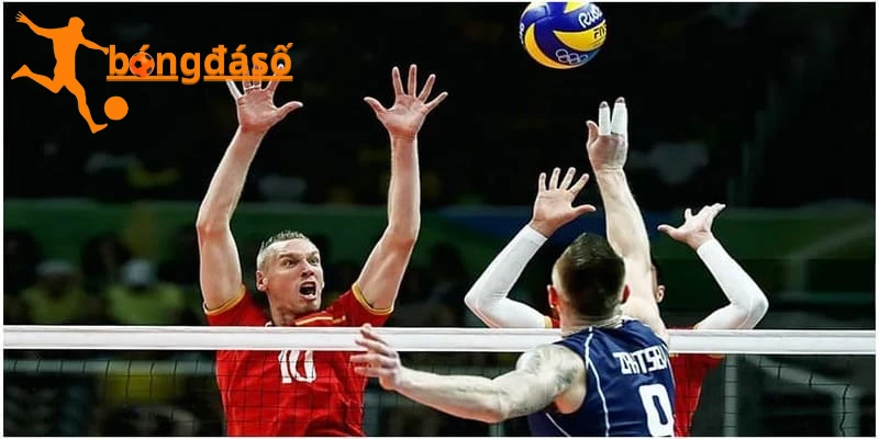 Một số loại kèo cá cược bóng chuyền tại Bongdaso