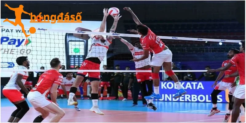 Hướng dẫn tham gia cược bóng chuyền