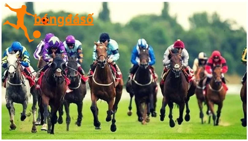Cách Kèo cá cược đua ngựa hiệu quả