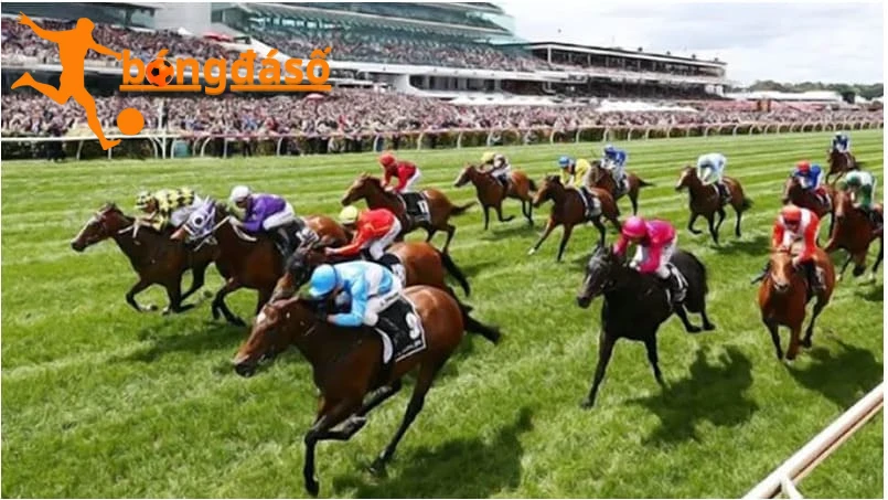 Những lợi ích khi Kèo cá cược đua ngựa