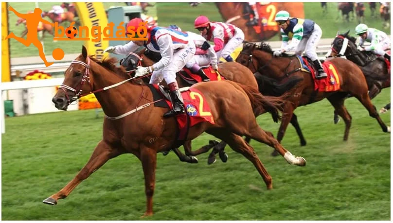 Các chiến thuật cần biết