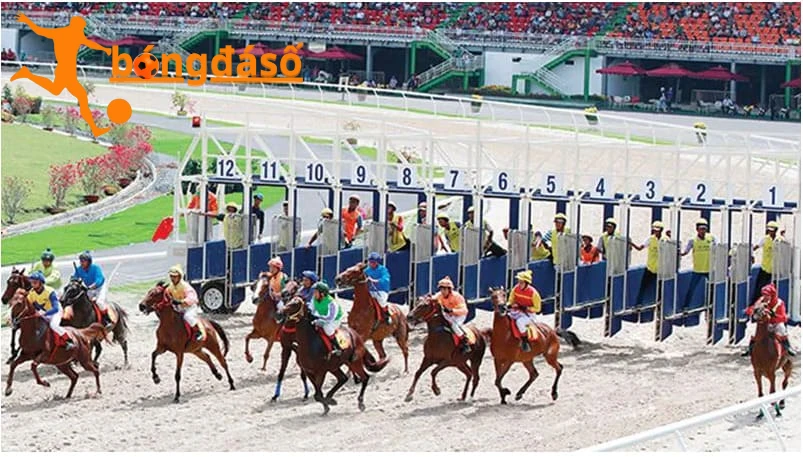 Tìm hiểu về các loại Kèo cá cược đua ngựa