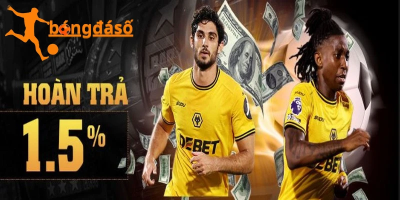 Nhiều ưu đãi hấp dẫn được nhà cái dành tặng cho thành viên