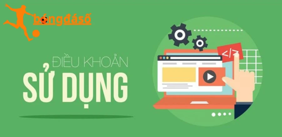 bongdaso - điều khoản sử dụng