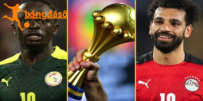 Giải Vô địch các quốc gia châu Phi và giai đoạn định hình bản sắc