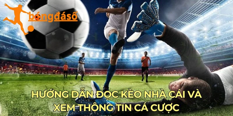 bongdaso - hướng dẫn sử dụng