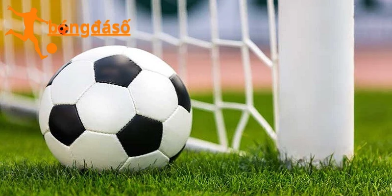 Đánh giá và phân tích nhiều yếu tố kèo 2.5