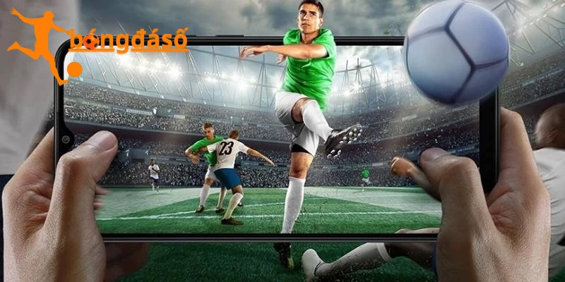 Ý nghĩa của hai dấu (+) và (-) của kèo châu á là gì?