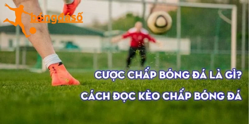 Kèo cược chấp là gì?