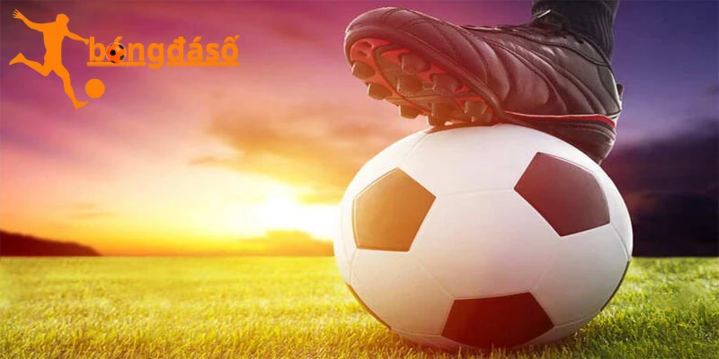 Sức lôi cuốn của Kèo Tỷ Số