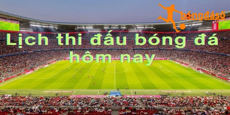 Cập nhật lịch thi đấu bóng đá mới nhất