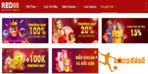 Khái quát những thông tin cơ bản về sân chơi Red88