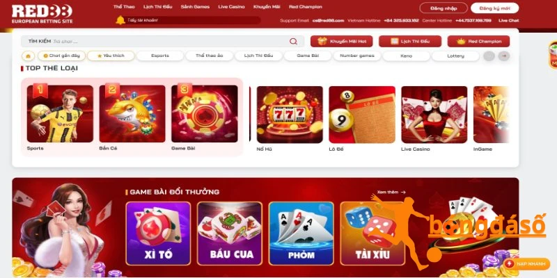 Website nền tảng được thiết kế khoa học với tone màu bắt mắt