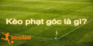 soi kèo phạt góc như nào