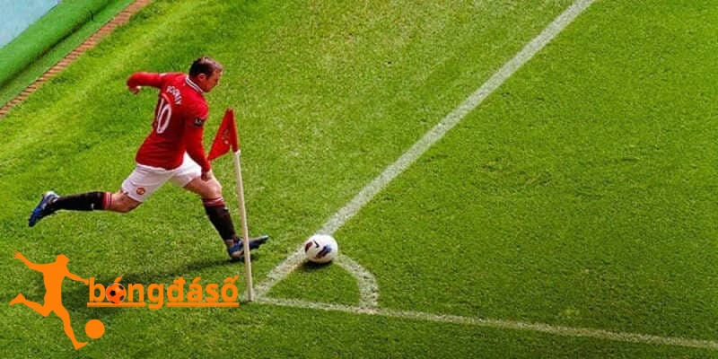 soi kèo phạt góc đơn giản