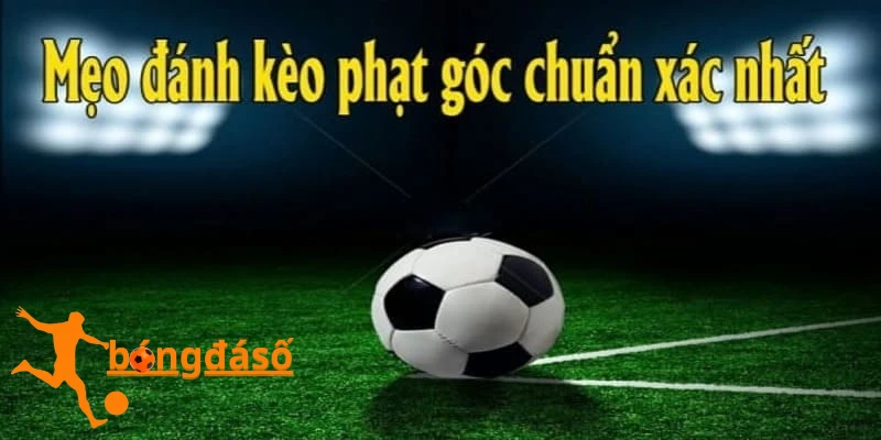 kinh nghiệm soi kèo phạt góc đơn giản