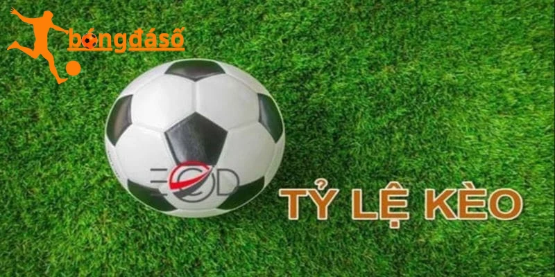 Tỷ Lệ Kèo Bongdaso – Công Cụ Hỗ Trợ Dự Đoán Hiệu Quả